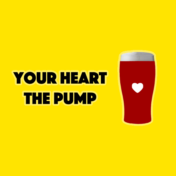 Infographic : Your Heart The Pump