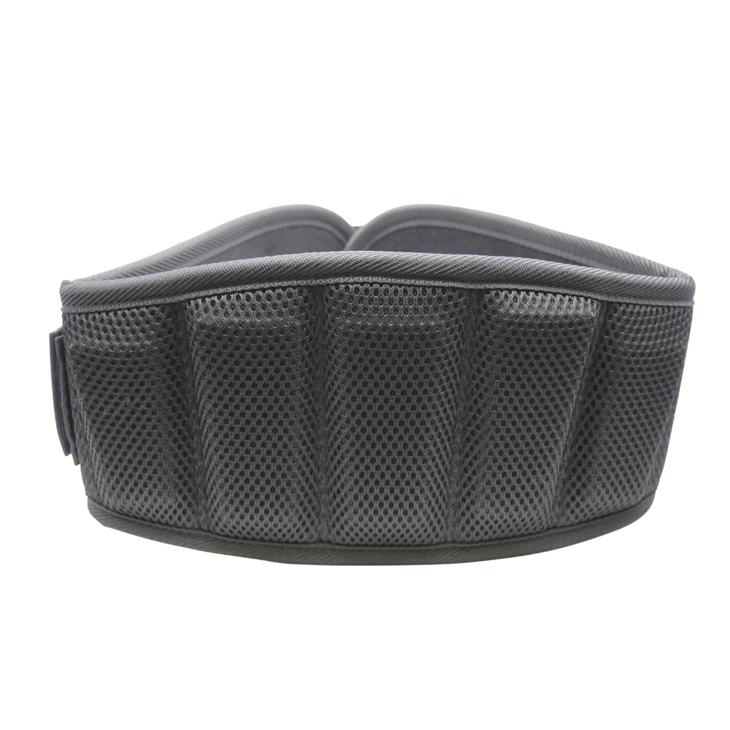Padding on Exercise Lifting Belt