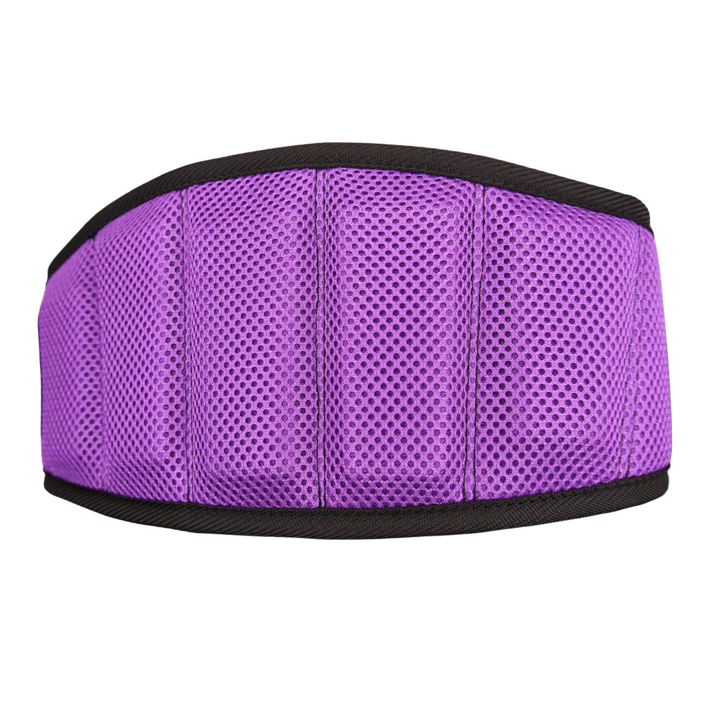 Padding on purple adjustable weight training belt