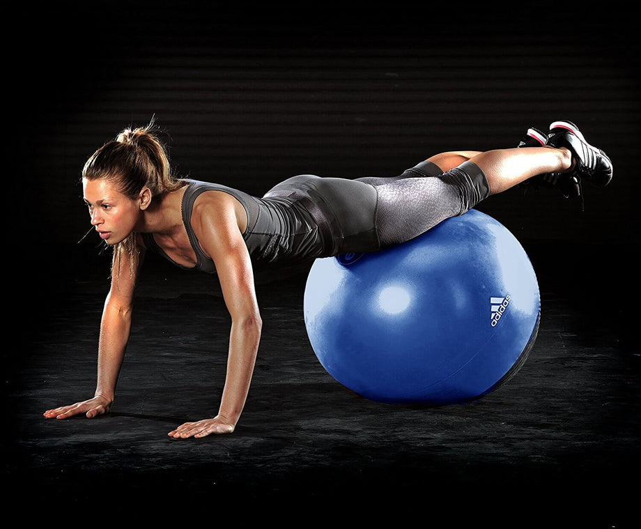 Adidas Premium Exercise Ball 65cm Workout For Less